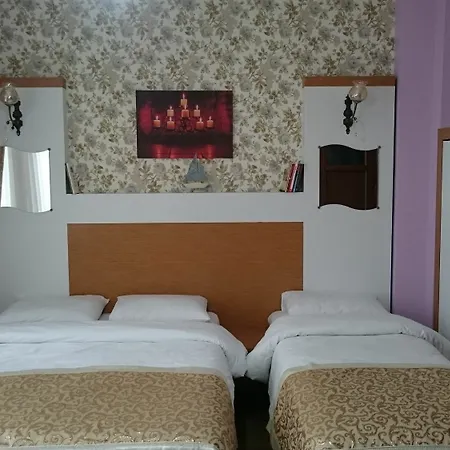 Grafen 3*